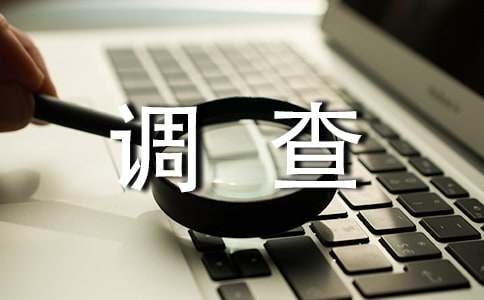 小学生调查报告